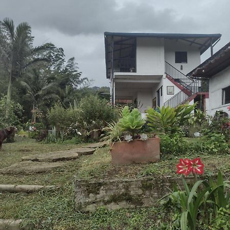 Finca clima templado, quebrada y jacuzzi; los clientes pueden usar todo el espacio y no tendrán que compartirlo con el anfitrión ni con otros huéspedes, calles en buen estado Alban  Extérieur photo
