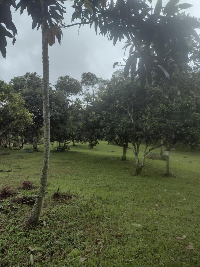 Finca clima templado, quebrada y jacuzzi; los clientes pueden usar todo el espacio y no tendrán que compartirlo con el anfitrión ni con otros huéspedes, calles en buen estado Alban  Extérieur photo
