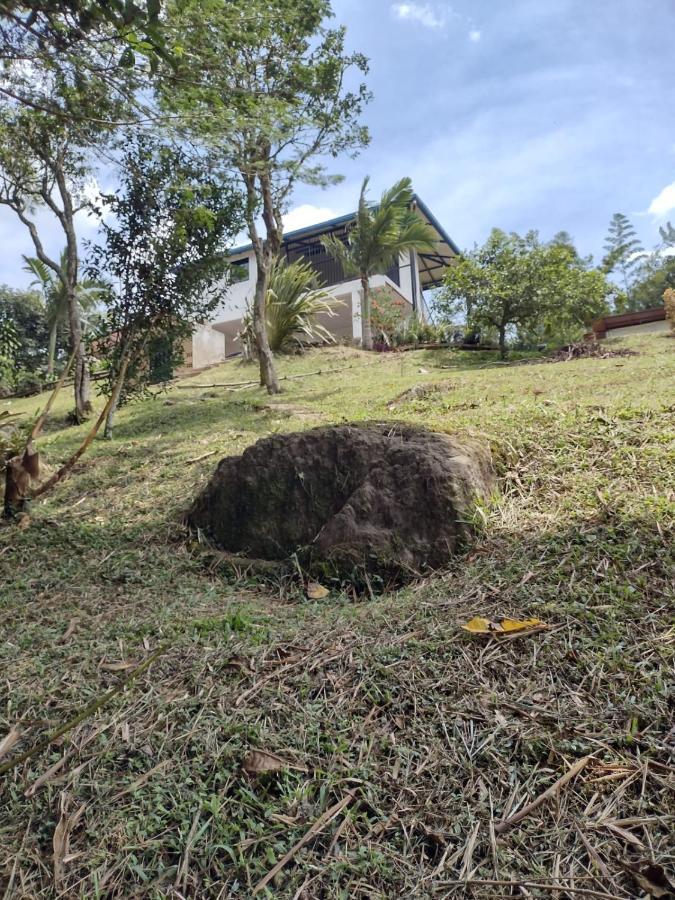 Finca clima templado, quebrada y jacuzzi; los clientes pueden usar todo el espacio y no tendrán que compartirlo con el anfitrión ni con otros huéspedes, calles en buen estado Alban  Extérieur photo