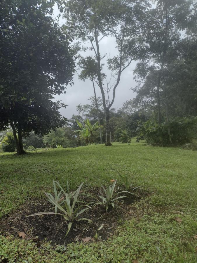 Finca clima templado, quebrada y jacuzzi; los clientes pueden usar todo el espacio y no tendrán que compartirlo con el anfitrión ni con otros huéspedes, calles en buen estado Alban  Extérieur photo