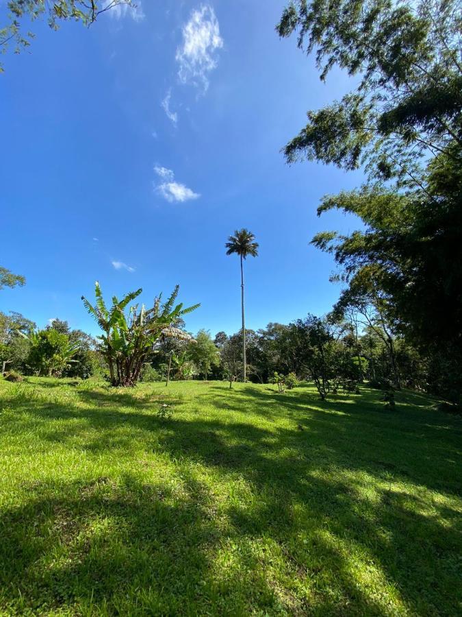 Finca clima templado, quebrada y jacuzzi; los clientes pueden usar todo el espacio y no tendrán que compartirlo con el anfitrión ni con otros huéspedes, calles en buen estado Alban  Extérieur photo