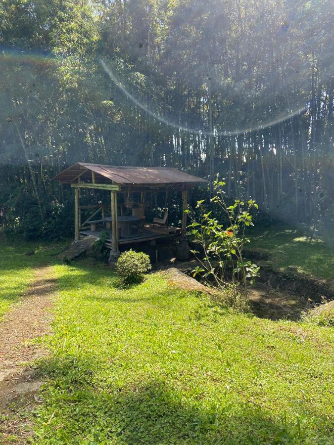 Finca clima templado, quebrada y jacuzzi; los clientes pueden usar todo el espacio y no tendrán que compartirlo con el anfitrión ni con otros huéspedes, calles en buen estado Alban  Extérieur photo