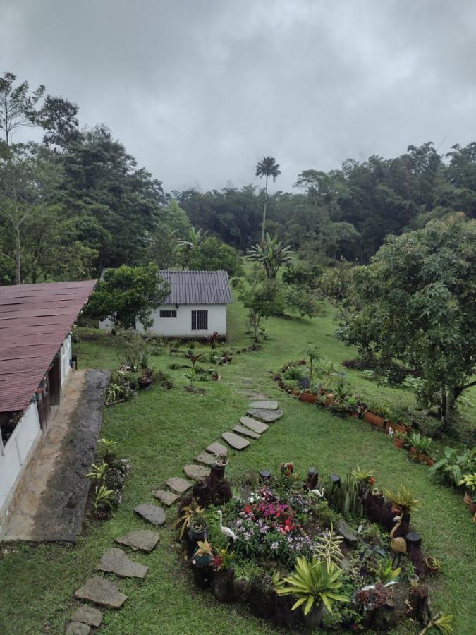 Finca clima templado, quebrada y jacuzzi; los clientes pueden usar todo el espacio y no tendrán que compartirlo con el anfitrión ni con otros huéspedes, calles en buen estado Alban  Extérieur photo