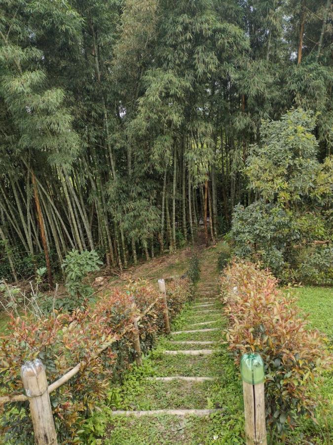 Finca clima templado, quebrada y jacuzzi; los clientes pueden usar todo el espacio y no tendrán que compartirlo con el anfitrión ni con otros huéspedes, calles en buen estado Alban  Extérieur photo