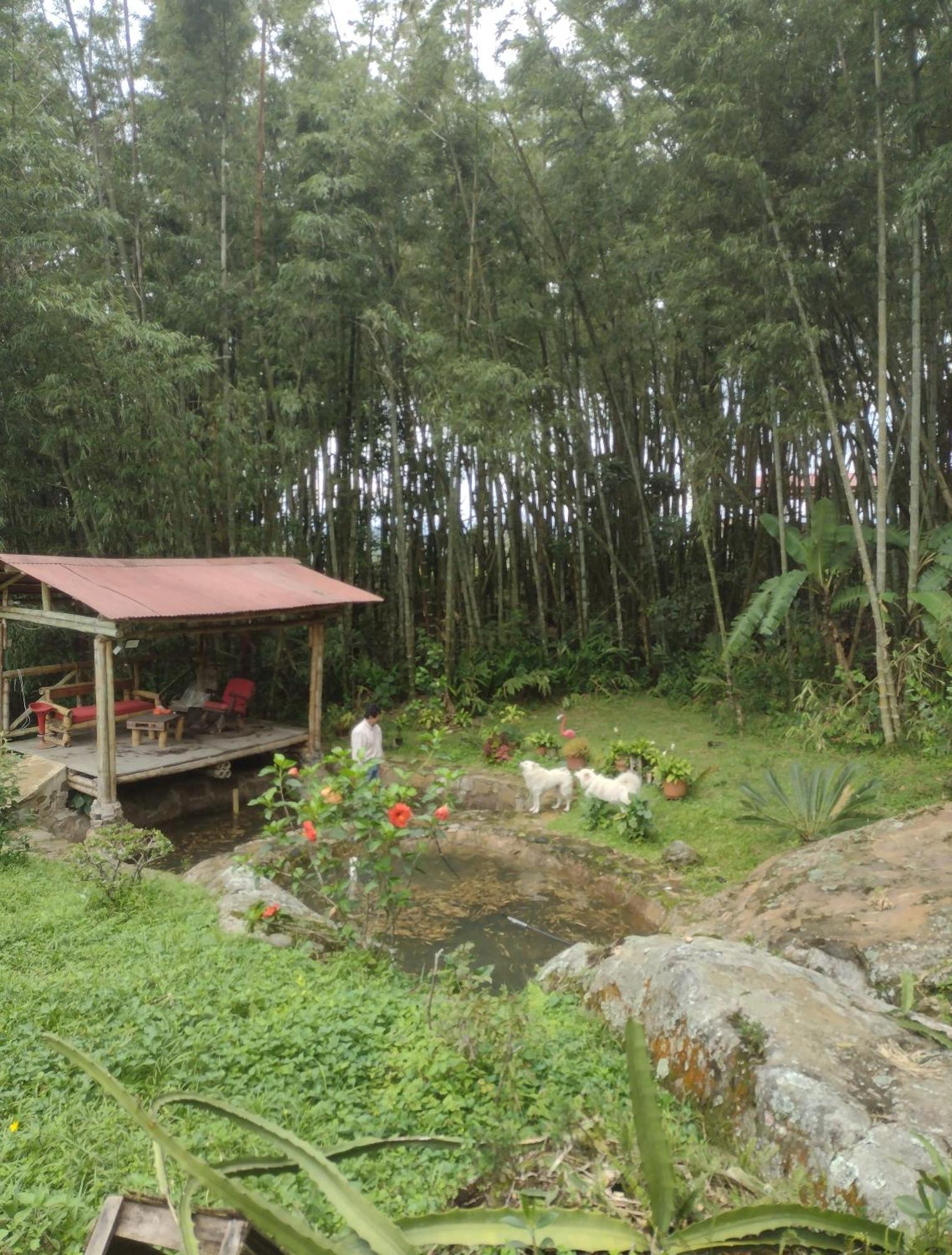 Finca clima templado, quebrada y jacuzzi; los clientes pueden usar todo el espacio y no tendrán que compartirlo con el anfitrión ni con otros huéspedes, calles en buen estado Alban  Extérieur photo