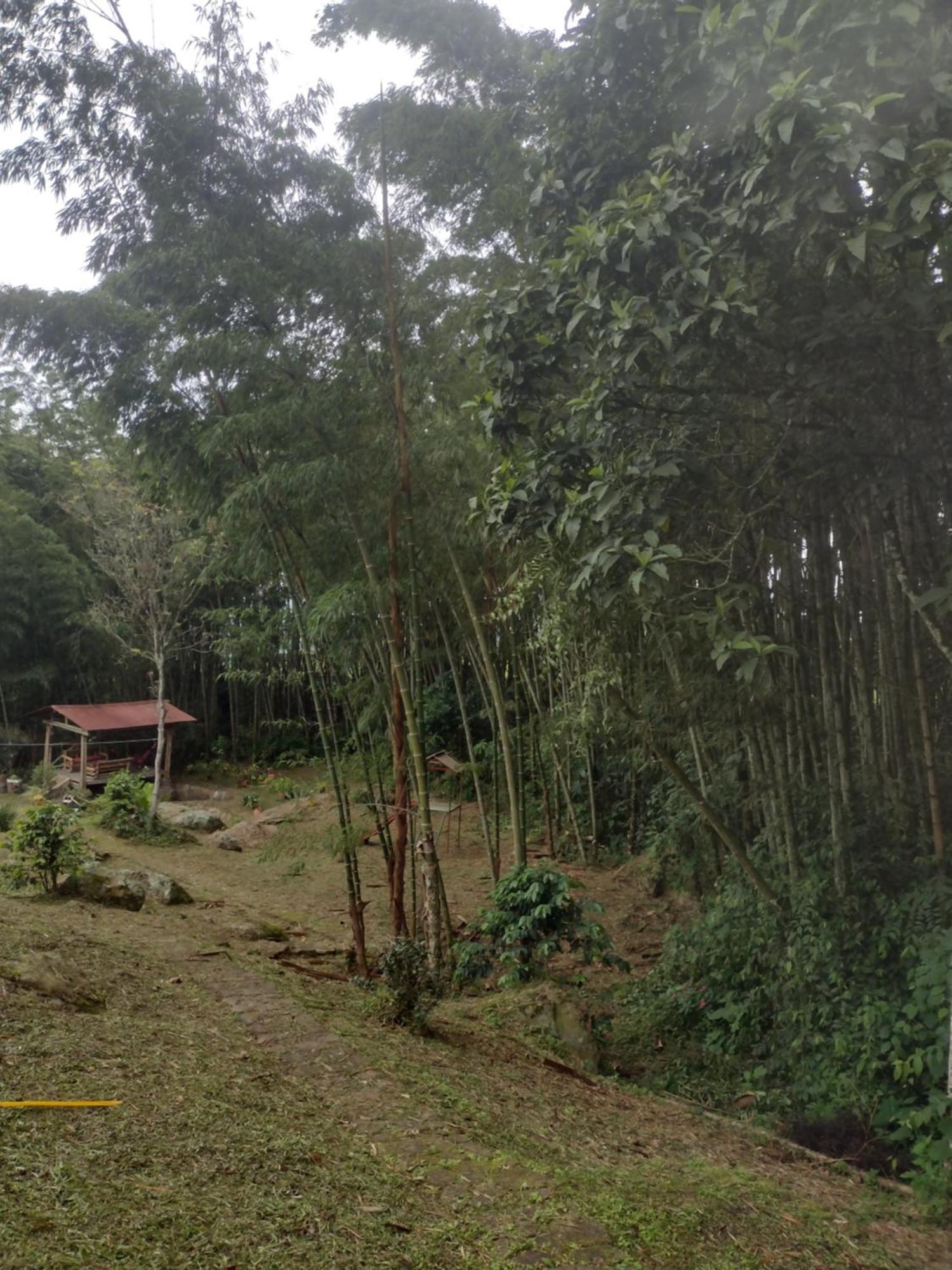 Finca clima templado, quebrada y jacuzzi; los clientes pueden usar todo el espacio y no tendrán que compartirlo con el anfitrión ni con otros huéspedes, calles en buen estado Alban  Extérieur photo