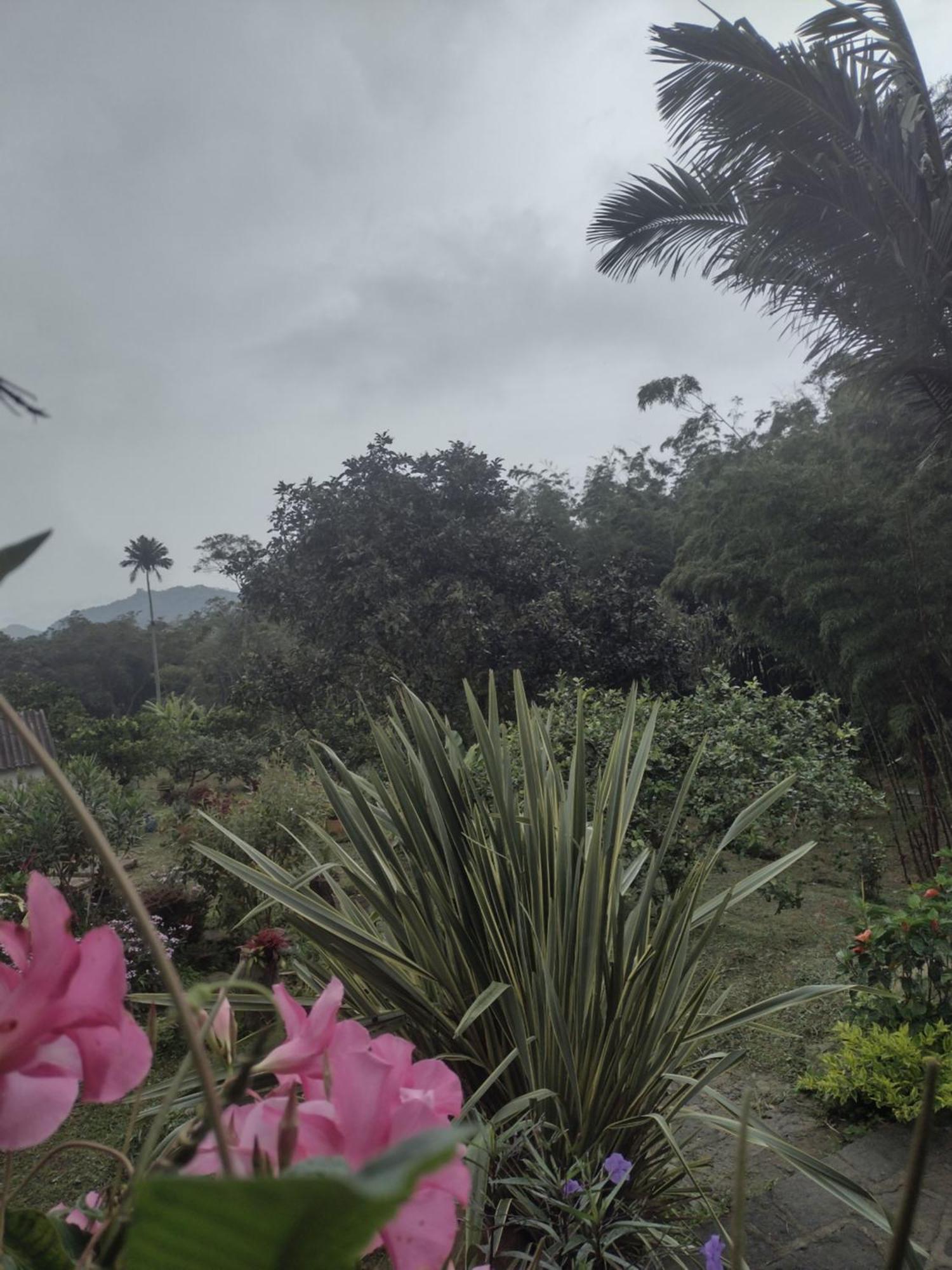 Finca clima templado, quebrada y jacuzzi; los clientes pueden usar todo el espacio y no tendrán que compartirlo con el anfitrión ni con otros huéspedes, calles en buen estado Alban  Extérieur photo