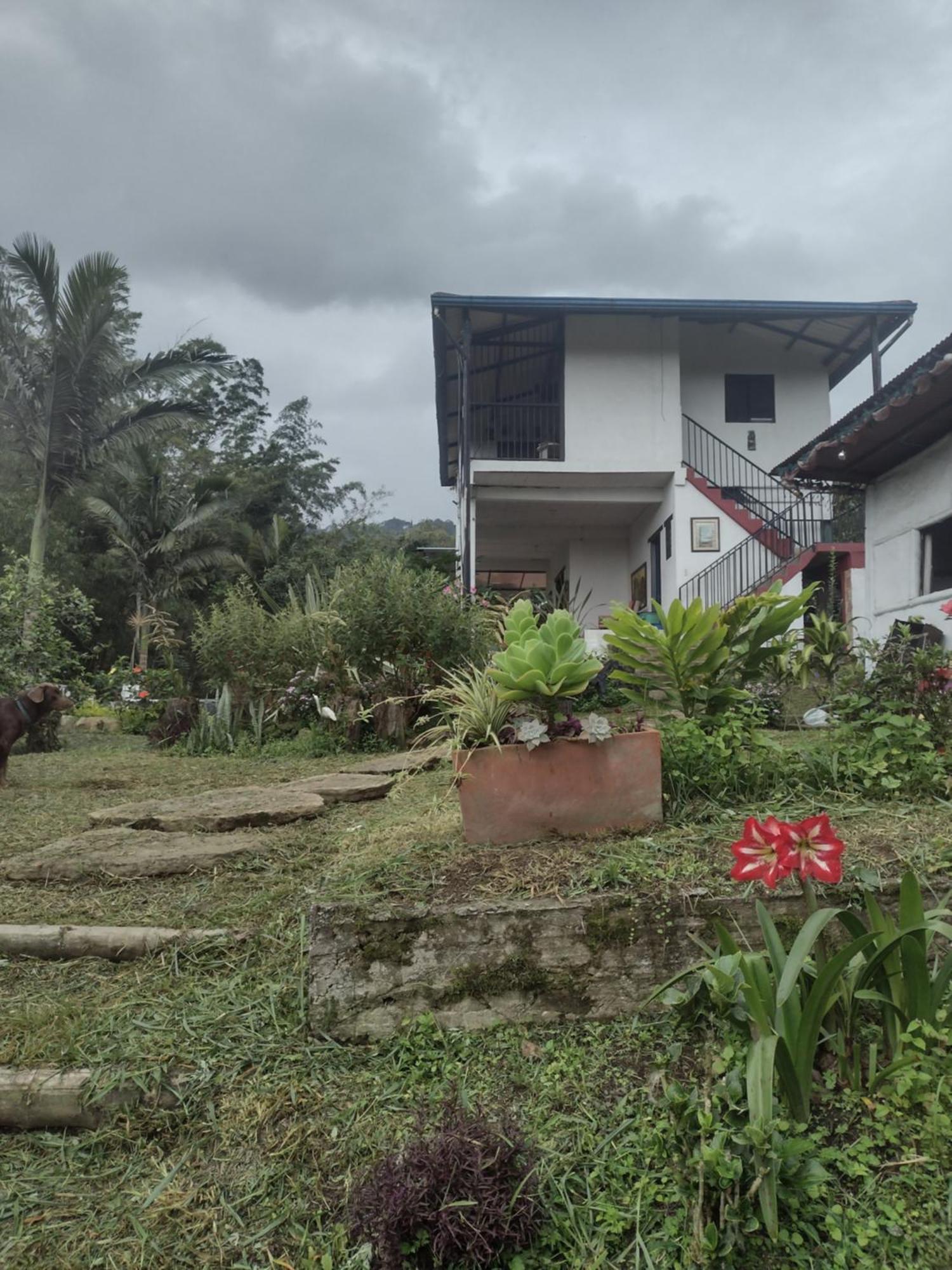Finca clima templado, quebrada y jacuzzi; los clientes pueden usar todo el espacio y no tendrán que compartirlo con el anfitrión ni con otros huéspedes, calles en buen estado Alban  Extérieur photo